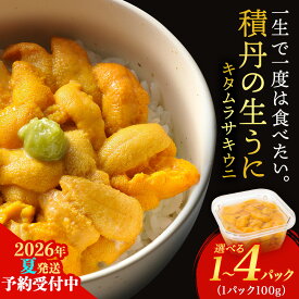 【ふるさと納税】【2026年夏発送分】予約開始 ムラサキウニ 選べる1パック～4パック 1パック100g 大川商店北海道ふるさと納税 積丹町 海鮮 北海道 キタムラサキウニ 塩水 むらさきうに 海鮮 うに 生うに 北海道 雲丹 通販 ギフト ウニ 2026年