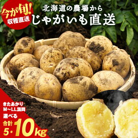 【ふるさと納税】じゃがいも きたあかり 選べる5kg・10kg 北海道 別名「栗じゃが」甘くておいしい ジャガイモ 芋 いも 秋野菜 季節の野菜 直送農場 北海道産 サイズ混同 野菜