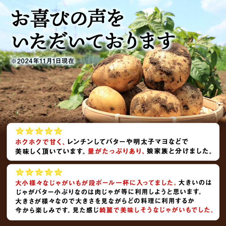 楽天市場】【ふるさと納税】【2025年秋発送予約】数量限定 じゃがいも 