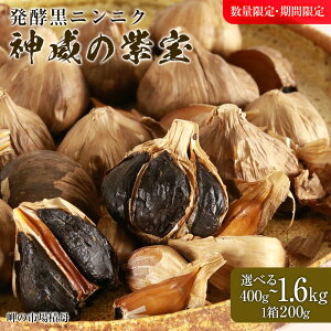 yӂ邳Ɣ[ŁzyjjN_Ђ̎ Iׂ2`8 1200gkCӂ邳Ɣ[ ϒO ӂ邳Ɣ[ kC yHi ɂɂ ɂɂ n kCY y f