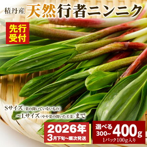yӂ邳Ɣ[Łzus\JnIvϒOYVRs҃jjN Iׂ300gE400g i1pbN100gjkCӂ邳Ɣ[ ϒO ӂ邳Ɣ[ kC R s҃jjN kCY