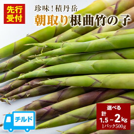 【ふるさと納税】【2027発送予約】「先行予約開始！」珍味積丹岳根曲竹の子選べる1kg〜2kg 1パック500g北海道ふるさと納税 積丹町 ふるさと納税 北海道 山菜 根曲がり竹 北海道産 タケノコ 筍 竹の子