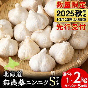 yӂ邳Ɣ[Łzyʌz_jjN gSTCYh Iׂ1kg`2kg 1500g o  _ ɂɂK[bNkCӂ邳Ɣ[ ϒO ӂ邳Ɣ[ kC  ɂɂ kCY
