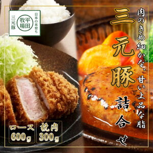 yӂ邳Ɣ[Łz{̕Ĉ炿 cq O ubN E ғ l i2jy [X Ђ ҂ Ƃ񂩂 no[O ؓ  Y lC uh p v[g c lߍ