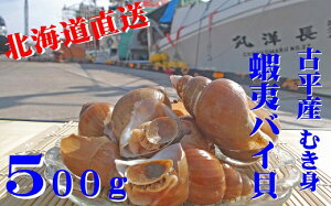 yӂ邳Ɣ[ŁzkCÕYtI ڈ΃oCL(ނg) 500g y oCL kCY Y CN  L L C̍K lC z