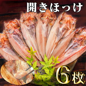 yӂ邳Ɣ[ŁzkC ߊC ق ǁ`6y ^zbP zbP   CN   C̍K т̂   Mtg  lC z