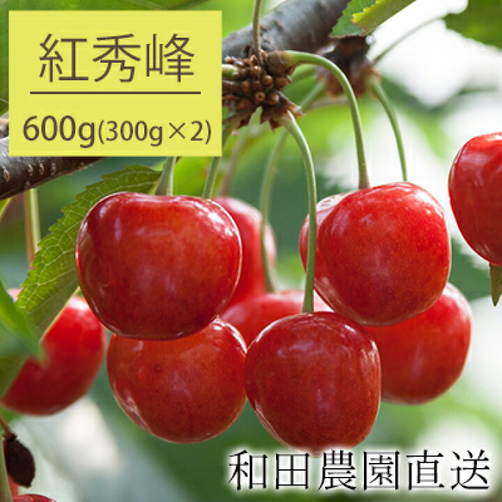 楽天市場 ふるさと納税 和田農園のさくらんぼ 紅秀峰 600g 北海道仁木町産 果物類 フルーツ さくらんぼ サクランボ 紅秀峰 チェリー お届け 22年7月17日 7月25日 北海道仁木町 楽天市場 ふるさと納税 和田農園のさくらんぼ 紅秀峰 600g 北海道仁木町産 果物類 フルーツ さくらんぼ サクランボ 紅秀峰 チェリー お届け 22年7月17日 7月25日 北海道仁木町