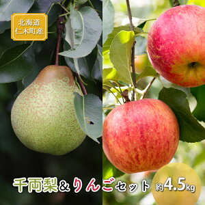 yӂ邳Ɣ[Łz[st] kC mؒY 痼񂲃Zbg 4.5kg ʕ ʕ  t[c ь S iV l s\ [̒@艀]@͂F2025N9{