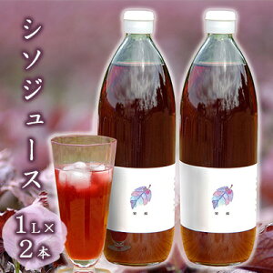 yӂ邳Ɣ[ŁzėtԒ_sgp̃V\tgp V\W[X 1L×2{Zbg  ʎ [LЃT[_Y]