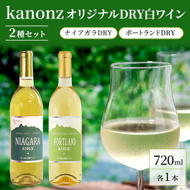 【ふるさと納税】kanonzオリジナルDRY白ワイン2種セット　【白ワイン・お酒・お酒・ワインセット・ワイン】