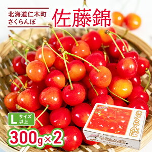 yӂ邳Ɣ[Łzst   300g×2P v600g LTCY kC mؒ@Y {̃t[c {̉ʕ fU[gTN{ `F[ t[c ʕ ʕ m [Jirt@[]