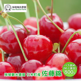 【ふるさと納税】[先行受付] 北海道 仁木町産 さくらんぼ 「佐藤錦」 バラ詰め M-L混合 800g (400g×2パック) 　国産 旬のフルーツ 旬の果物 デザートサクランボ チェリー フルーツ 果物 果物類 仁木町 仁木 [フルーツショップ妹尾観光農園]　お届け：2026年7月上旬～7月下旬