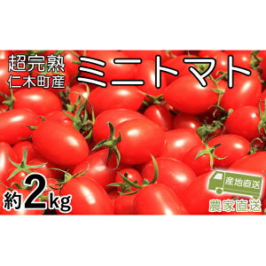 yӂ邳Ɣ[Łz[st] n~jg}gyACRz2kgi1kg×2jTCY g}g ~jg}g ACR  kC mؒ[ACRt@[] @͂F2025N8{`10{