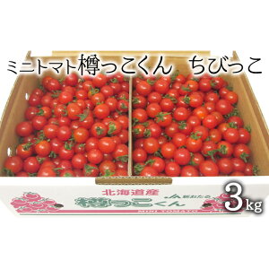 yӂ邳Ɣ[Łz[st] kC mؒY M т 3kgi1.5kg×2j ~jg}g g}g  Ƃ܂[RX]@͂F2025N8{`920