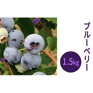 yӂ邳Ɣ[Łẑӂƍgʉ̗Ⓚu[x[1.5kgi500g×3jTCY ʕ  HHi t[c u[x[ [̂ӂƍgʉ]