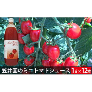 �y�ӂ邳�Ɣ[�Łz�~�j�g�}�g�u�A�C�R�v�ō�����g�}�g�W���[�X 1L×12�{�Z�b�g�i������p�j ��؃W���[�X �ʏ`���� ��؈��� ��� �g�}�g �k�C�� �m�ؒ� [�������̂̊}�䉀]