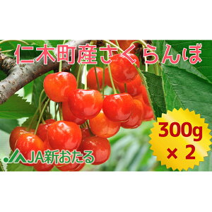 yӂ邳Ɣ[ŁzkC mؒY 7{  600g i300g×2j TN{ `F[ t[c ʕ ʕ mؒ m [JAV]@͂F2026N71`26܂