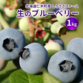 【ふるさと納税】[2026年発送] 北海道 仁木町産 有機栽培ブルーベリー1kg サイズ混合 果物 くだもの フルーツ ブルーベリー[しろうさファーム]　お届け：2026年7月15日～8月15日まで