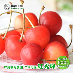 yӂ邳Ɣ[ŁzkC mؒY ځugGv M-L 600g (300g×2pbN) Y {̃t[c {̉ʕ fU[gTN{ `F[ t[c ʕ ʕ Mtg mؒ m [t