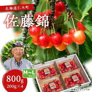 yӂ邳Ɣ[Łzst ځy  z800gi200g×4jM-LTCY TN{ `F[ t[c ʕ ʕ Mtg kC mؒ m [R_]@͂F2026N71`15