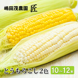 yӂ邳Ɣ[Łz[st] kC mؒY VN Ƃ낱 2FZbgy10`12{z  gERV R[ [ cΔ_]@͂F2026N810`9{