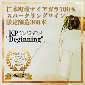 【ふるさと納税】【北海道産ワイン】 限定スパークリングワイン KP”Beginning" 750ml×2本 仁木町産ナイアガラ100%使用 ワイン 白 辛口 スパークリング お酒 シャンパン
