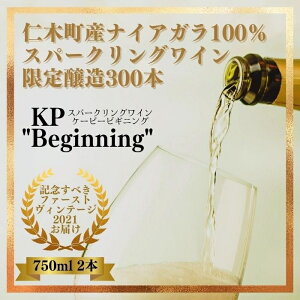 yӂ邳Ɣ[ŁzykCYCz Xp[NOC KPhBeginning" 750ml×2{ mؒYiCAK100%gp C  h Xp[NO  Vp