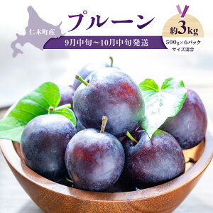 �y�ӂ邳�Ɣ[�Łz[��s��t] �y9�����{�`10�����{�o�ׁz �k�C�� �m�ؒ��Y �v���[�� ��3kg�i500g×6�p�b�N�j�T�C�Y���� �ʕ��� �t���[�c �ʕ� �l���� �Z�b�g [�������̒��� ���艀]�@���͂��F2026