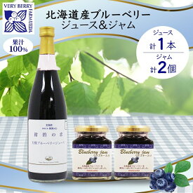 【ふるさと納税】北海道産 ブルーベリージュース 710ml 1本 ブルーベリージャム 180g 2個 セット ジャム瓶 ブルーベリー 詰め合わせ 果汁100 ジュース フルーツ 果物 自然農園 お取り寄せ ギフト 贈り物 のし 果汁飲料