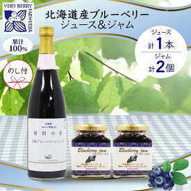 【ふるさと納税】無地熨斗 北海道産 ブルーベリージュース 710ml 1本 ブルーベリージャム 180g 2個セット 熨斗 ブルーベリー 詰め合わせ 果汁100 ジュース ジャム瓶 フルーツ 果物 自然農園 お取り寄せ のし 果汁飲料