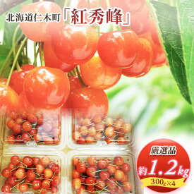 【ふるさと納税】 先行受付 2024年7月から出荷 北海道 仁木町産 サクランボ 紅秀峰 1.2kg 厳選品 松山商店　【 果物 フルーツ チェリー 旬の果物 産地直送 北海道産 仁木町産 たっぷり 】　お届け：2024年7月10日～末頃