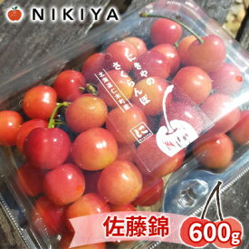 【ふるさと納税】北海道 仁木町産　さくらんぼ 佐藤錦 600g（300g×2）Lサイズ以上 　【 果物 フルーツ チェリー ジューシー 旬のフルーツ 旬の果物 国産 日本産 】　お届け：2024年6下旬～7月下旬まで