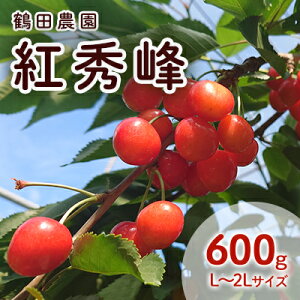 yӂ邳Ɣ[Łzʌ kC mؒY ʓv 嗱 Â  gG 600g LTCYȏ x s[^[ ̂ Â W[V[ TN{ `F[ t[c 