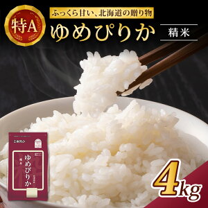 yӂ邳Ɣ[Łz(4kg)zN߂҂肩(2kg×2)܂̓`bNt `bNt F}[Nt    ͂  CX aH Y H ɂ ٓ [JAV]