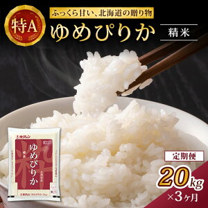 yӂ邳Ɣ[Łz3  (20kg)zN߂҂肩(5kg×4)    ͂  CX aH Y H ɂ ٓ [JAV]