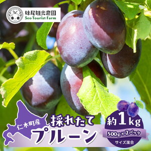 �y�ӂ邳�Ɣ[�Łz[��s��t/2025�N] �m�ؒ��̍̂ꂽ�āu�T���v���[���v1kg�i500g×2�j�T�C�Y���� �k�C�� �m�� �ʕ� �������� �t���[�c �v���[�� �ʕ��l���� �Z�b�g �����x [�t���[�c�V���b�v��