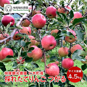 �y�ӂ邳�Ɣ[�Łz[��s��t/2025�N] �m�ؒ��̍̂ꂽ�Ă�񂲁u����v4.5kg�i15�`18�ʁj�T�C�Y���� �k�C�� �m�� �ʕ� �������� �t���[�c �����S �ь� �ʕ��� �W���[�V�[ [�t���[�c�V���b�v����