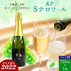 【ふるさと納税】北海道産 スパークリング ワイン 750ml 1本 KPワイン Sテロワール ぶどう ナイアガラ 葡萄 ブドウ 白ワイン 辛口 酒 お酒 贈答 贈り物 お祝い ギフト 記念日 送料無料 　お届け：2024年3月中旬より順次出荷