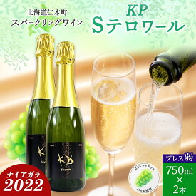【ふるさと納税】北海道産 スパークリング ワイン 750ml 2本 KPワイン Sテロワール ぶどう ナイアガラ 葡萄 ブドウ 白ワイン 辛口 酒 お酒 贈答 贈り物 お祝い ギフト 記念日 送料無料 　お届け：2024年3月中旬より順次出荷