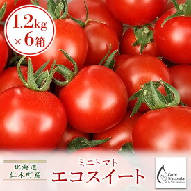 【ふるさと納税】北海道仁木町産ミニトマト【エコスイート】1.2kg×6箱［栽培期間中 農薬不使用］　【 野菜 国産 付け合わせ サラダ トッピング 糖度が高い 濃い 】　お届け：2024年7月上旬～9月下旬まで