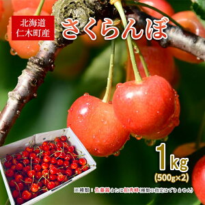 yӂ邳Ɣ[Łzst kC mؒY  1kg i500g×2j т܂͍gG ʎ TN{ `F[ t[c ʕ ʕ Mtg mؒ m [_]@͂F2026N7