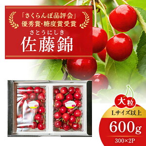 yӂ邳Ɣ[Łzst kC mؒYuv  y  z300g×2 cΔ_ TN{ `F[ t[c ʕ ʕ mؒ m [cΔ_]@͂F2026N7{