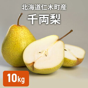 yӂ邳Ɣ[Łz[st] kC mؒY 痼 10kg  iV ʎ ʕ  t[c [щʎ]@͂F2025N10{`10{܂