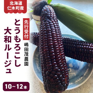 yӂ邳Ɣ[Łz[st] kC mؒY VN Ƃ낱 a[Wy10`12{zgERV R[  ₳ [cΔ_]@͂F2026N8{`2025N9{