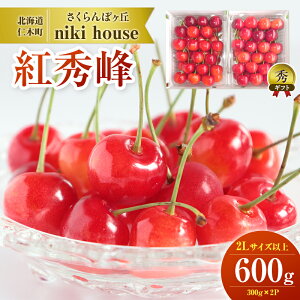 yӂ邳Ɣ[ŁzeʂIׂ [st]  gG 2LTCY ȏ 300g`1kg ϔ TN{ `F[ t[c ʕ ʕ Mtg i kC mؒ m [ѐMK]@