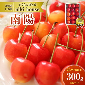 yӂ邳Ɣ[ŁzeʂIׂ [st]  z 2LTCY ȏ 300g`600g ϔ TN{ `F[ t[c ʕ ʕ Mtg i kC mؒ m [ѐMK]@