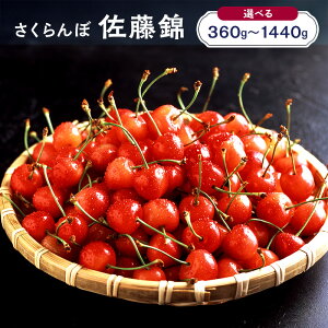 yӂ邳Ɣ[Łz eʂIׂ 360g`1400g s\ kC mؒY   ʕ  t[c TN{ `F[ [JAV]@͂F2026N71`20܂