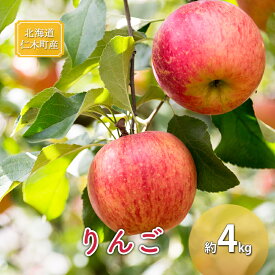 【ふるさと納税】[先行受付] 北海道 仁木町産 りんご 約4kg 果物類 林檎 リンゴ ふじ 果物 くだもの フルーツ [くだもの直売　もり園]　お届け：2026年12月上旬～12月中旬