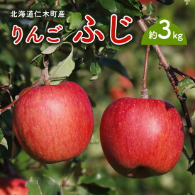 【ふるさと納税】[先行受付] 北海道 仁木町産 りんご ふじ 約3kg（8～12個目安）果物 くだもの 林檎 リンゴ フルーツ [鶴田農園]　お届け：2026年11月末～12月中旬まで