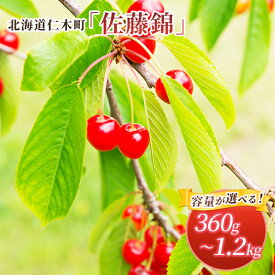 【ふるさと納税】先行受付 容量が選べる 360g～1.2kg 北海道 仁木町産 サクランボ 佐藤錦 さくらんぼ チェリー 果物 くだもの フルーツ [松山商店]　お届け：2026年7月1日～23日頃